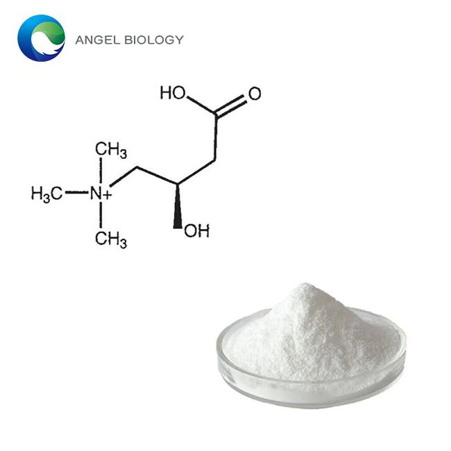 L-Carnitine Powder